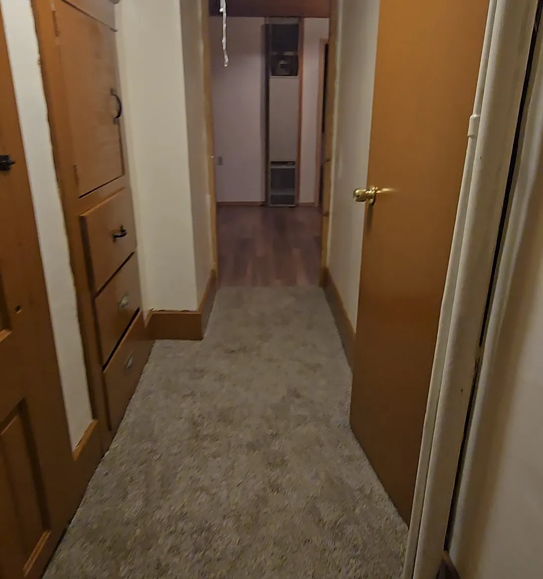 1 bed, $800 — Photo 1