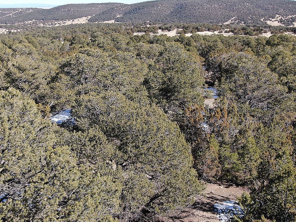 1st image of 41 Griego Ln
