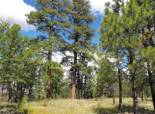 3809 Timberline Dr, Happy Jack, AZ 86024