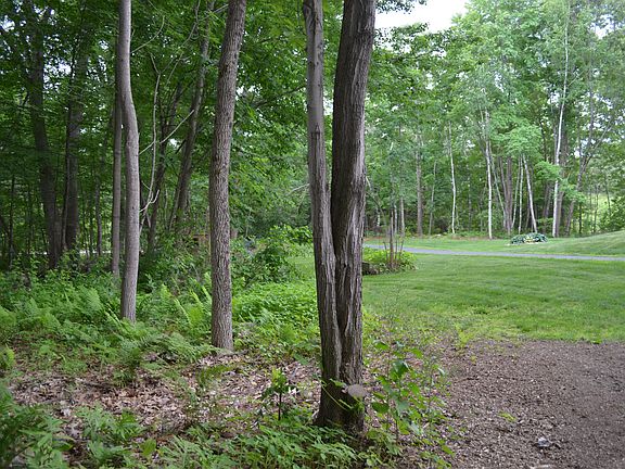 Lots Of Gardening Space