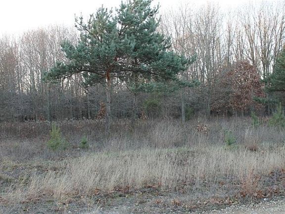 4th image of Zoe Ave Lot F