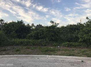 35 Sun Dunes Cir, Ponce Inlet, FL 32127