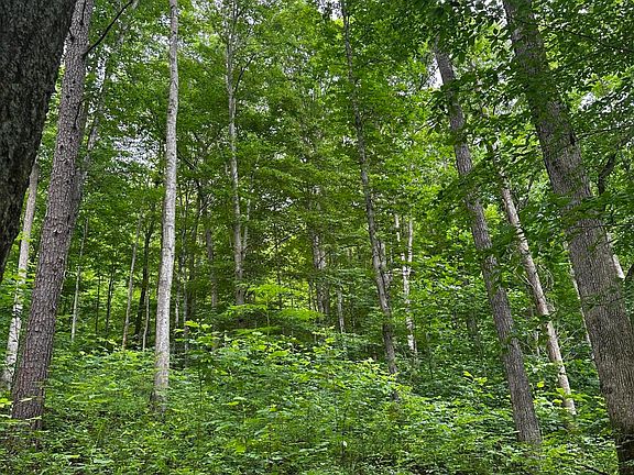 4th image of 2041 Cat Creek Rd