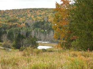 0 Ideuma Rd LOT 4, Unadilla, NY 13849