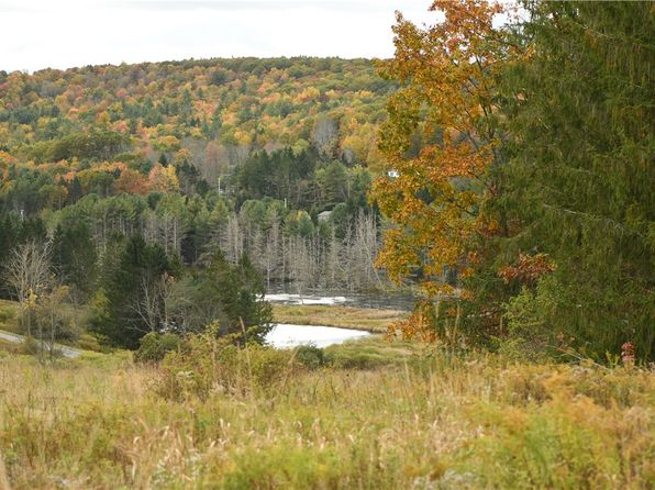 0 Ideuma Rd LOT 4, Unadilla, NY 13849