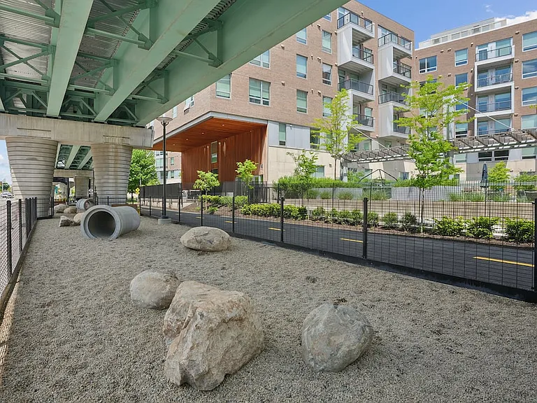 Lechmere dog park