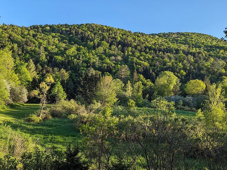 1072 Route 100 — Photo 9