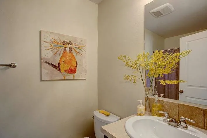 Large Primary Bathroom