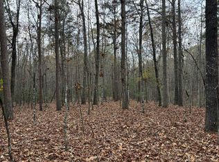 35AC Liberty Hill Rd, Morganton, GA 30560