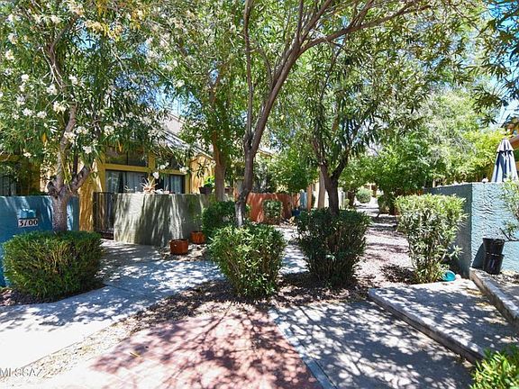 3rd image of 3116 E Oasis De Palmeras