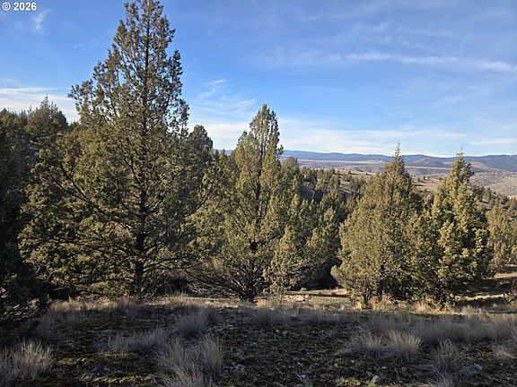 4th image of Laycock Creek Rd