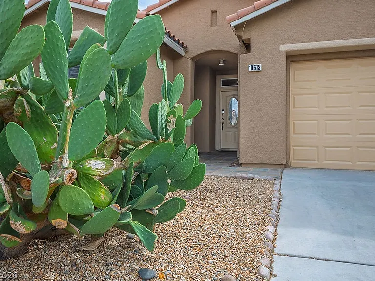 10513 Shanna Trellis Ave — Photo 4