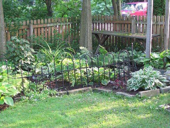 Lush plants