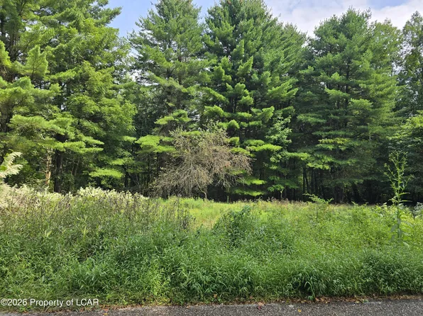 Callender Rd, Hunlock Creek, PA 18621