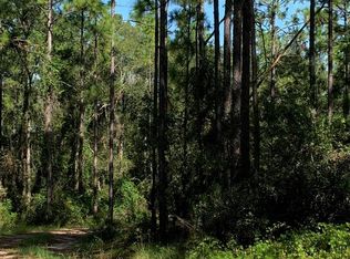 107 Adams Ave, Hawthorne, FL 32640