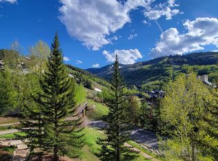 311 Offerson Rd SUITE 221, Beaver Creek, CO 81620