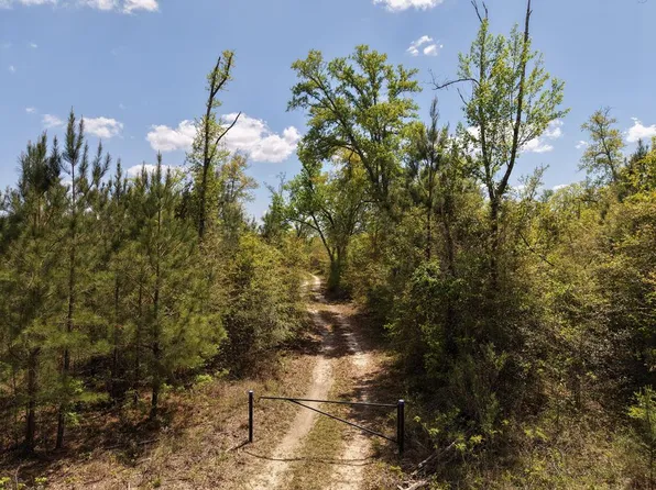 State Highway 370, Blakely, GA 39823