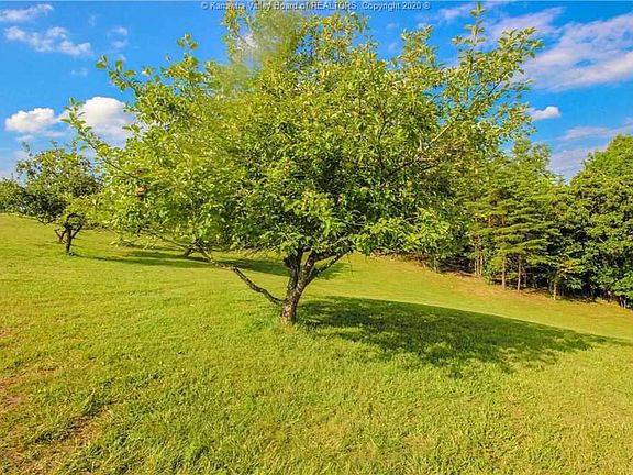 4th image of 398 Olde Orchard Dr