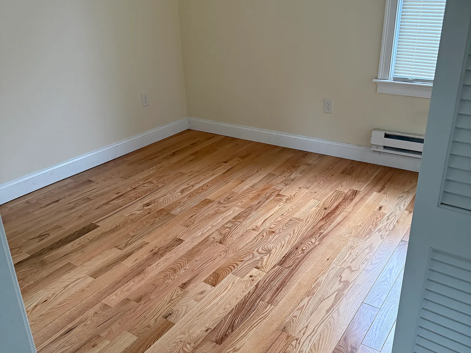 1 bed, 300 sqft, $875 — Photo 3