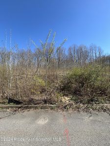 109 Black Walnut Dr, Olyphant, PA, 18447