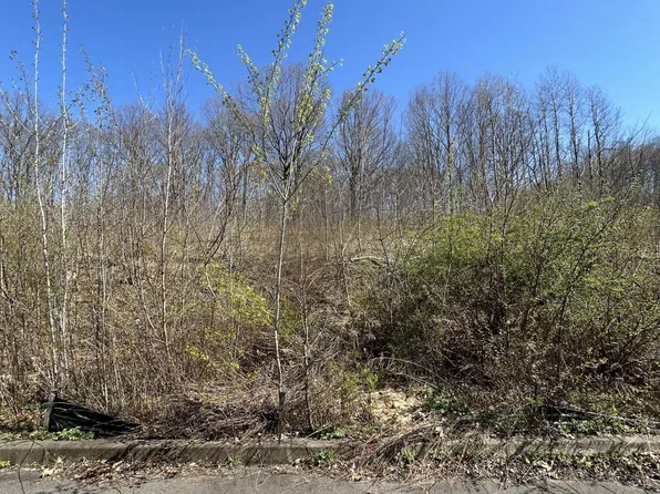 109 Black Walnut Dr, Olyphant, PA 18447