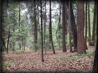 3884 Opal Trl, Pollock Pines, CA 95726