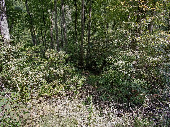 4th image of LOT 8 Snowbird Woods Rd
