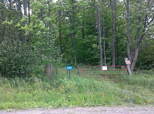 9789 Dow Rd, Freedom, NY 14065