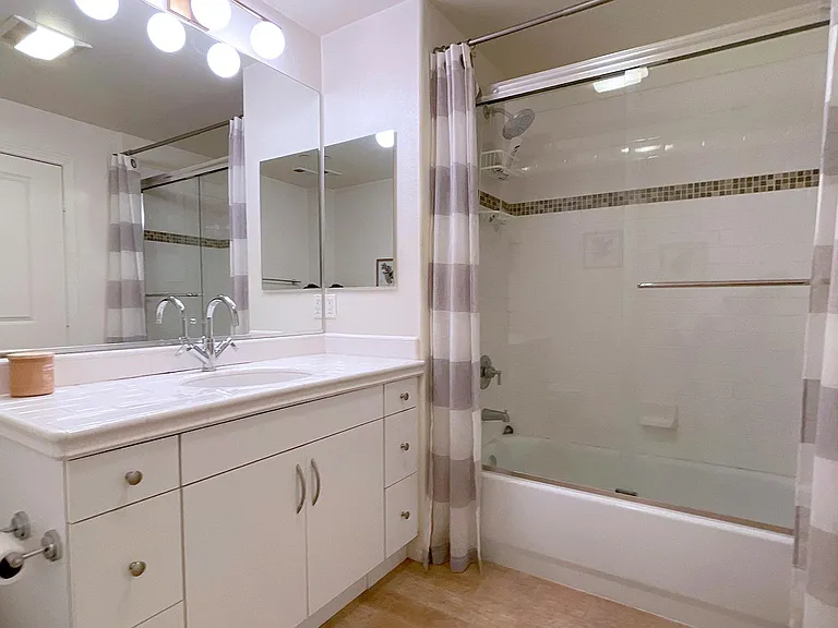 Guest bathroom