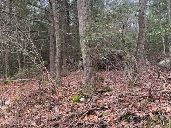 141 Brandt Road, Cuddebackville, NY 12729