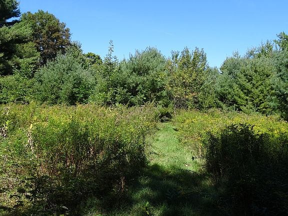 Many nice trails