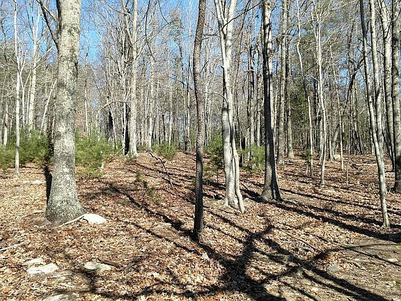 3rd image of 0 Blue Grass Trl