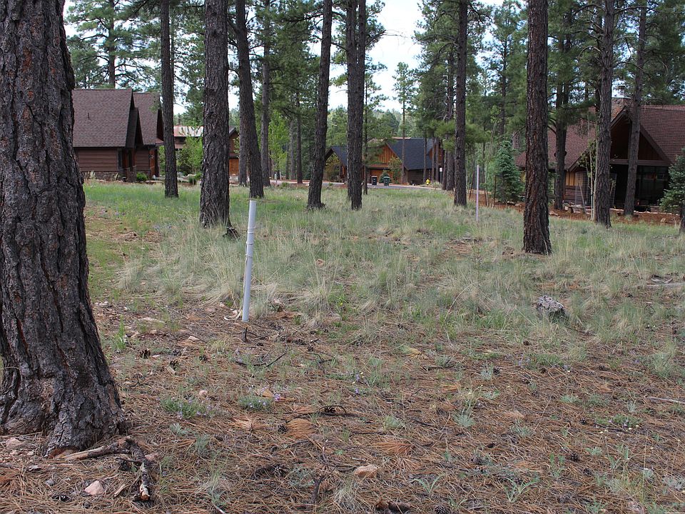 2nd image of 2625 S Bluebird Ct