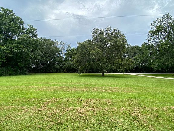 Front yard view from house 