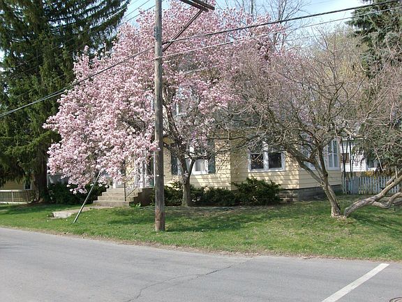 Plum Street View 3