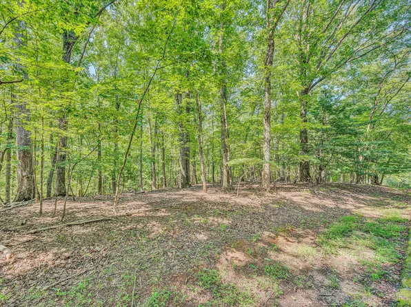 24 Woodridge Trl, Moneta, VA 24121