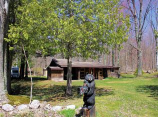 8626 Coat Rd, Benzonia, MI 49616