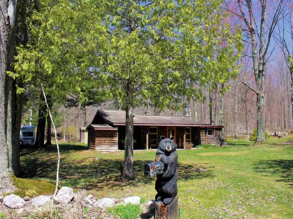 8626 Coat Rd, Benzonia, MI 49616