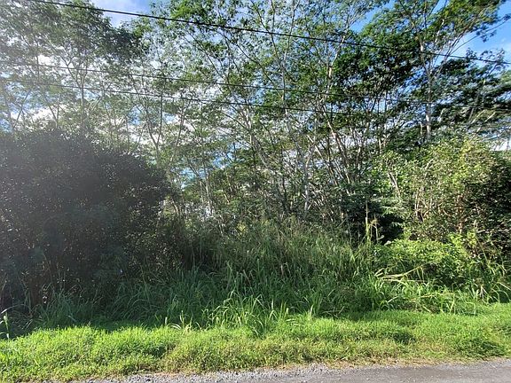 3rd image of 8th Avenue Kahili Lot 1018