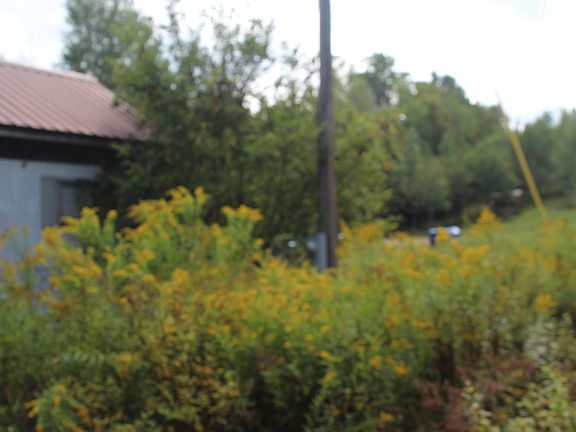 3rd image of 623 River Road