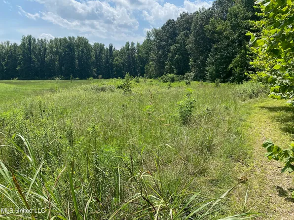 0 Summer Oaks Dr, Lamar, MS 38642