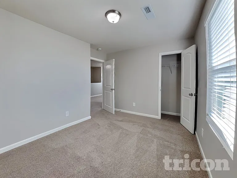 325 Emilies Crossing Way — Photo 10
