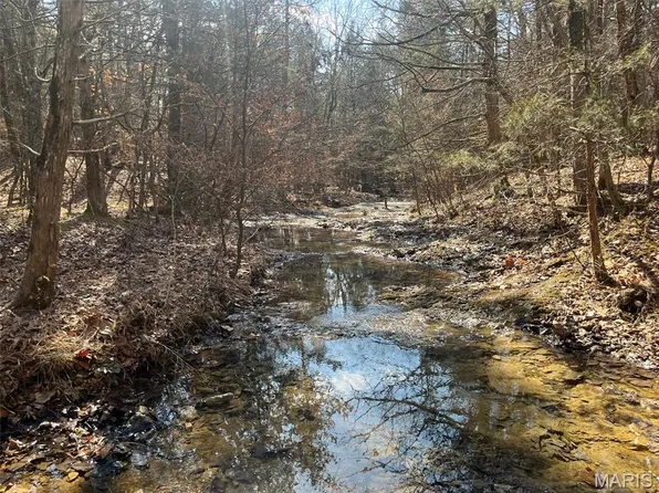 10272 Old Black River Rd, Potosi, MO 63664