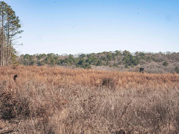 0 Highway 167, Dubach, LA 71235