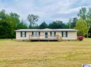 810 Gladys Dr, Hamer, SC 29547