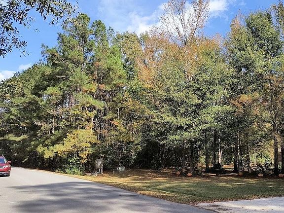 3rd image of 312 Black River Dr