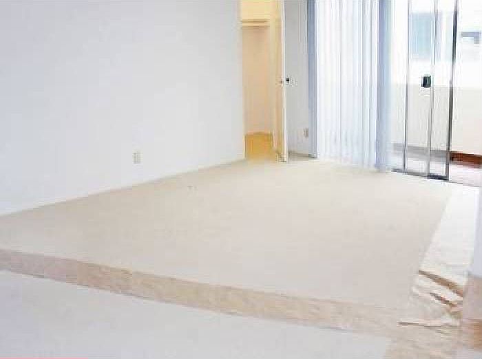 Living Room and Balcony