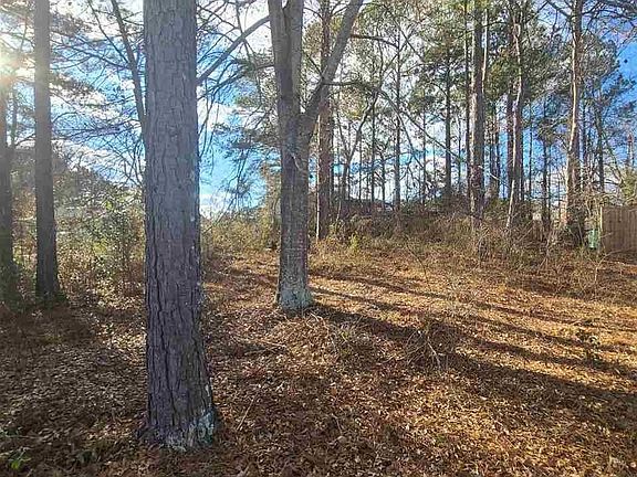 3rd image of 0 Castleberry Dr