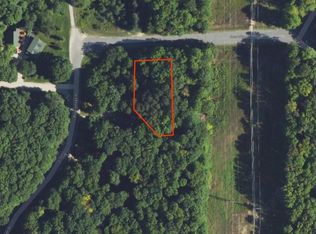 LOT 63 E Village Dr, Bellaire, MI 49615