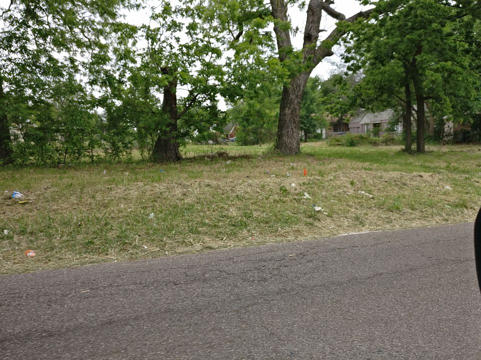View from prospect